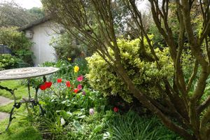 Photo 17- click for photo gallery